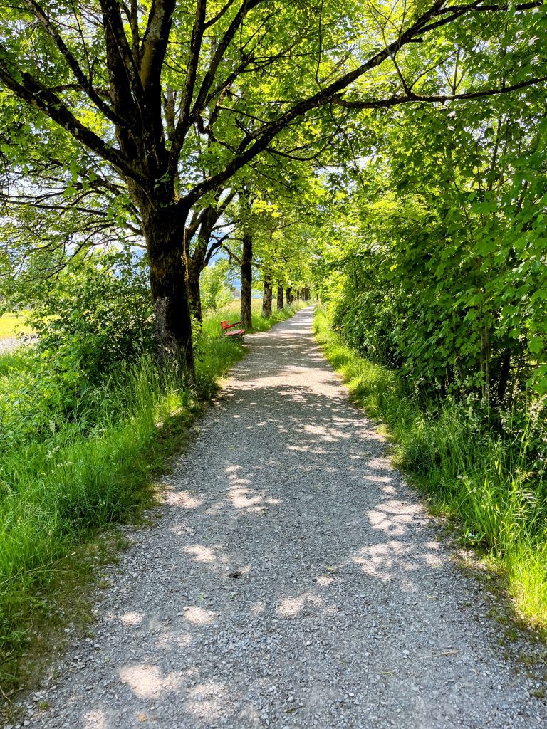 umrundung_zürichsee_schmerikon_stäfa_