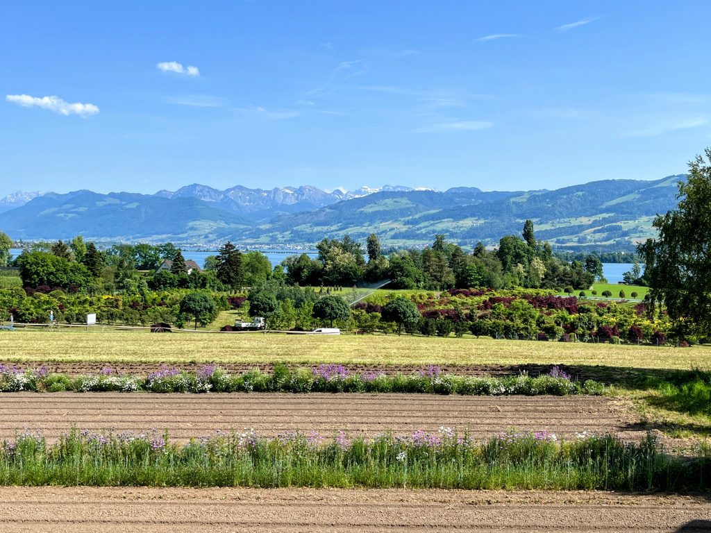 umrundung_zürichsee_schmerikon_stäfa_