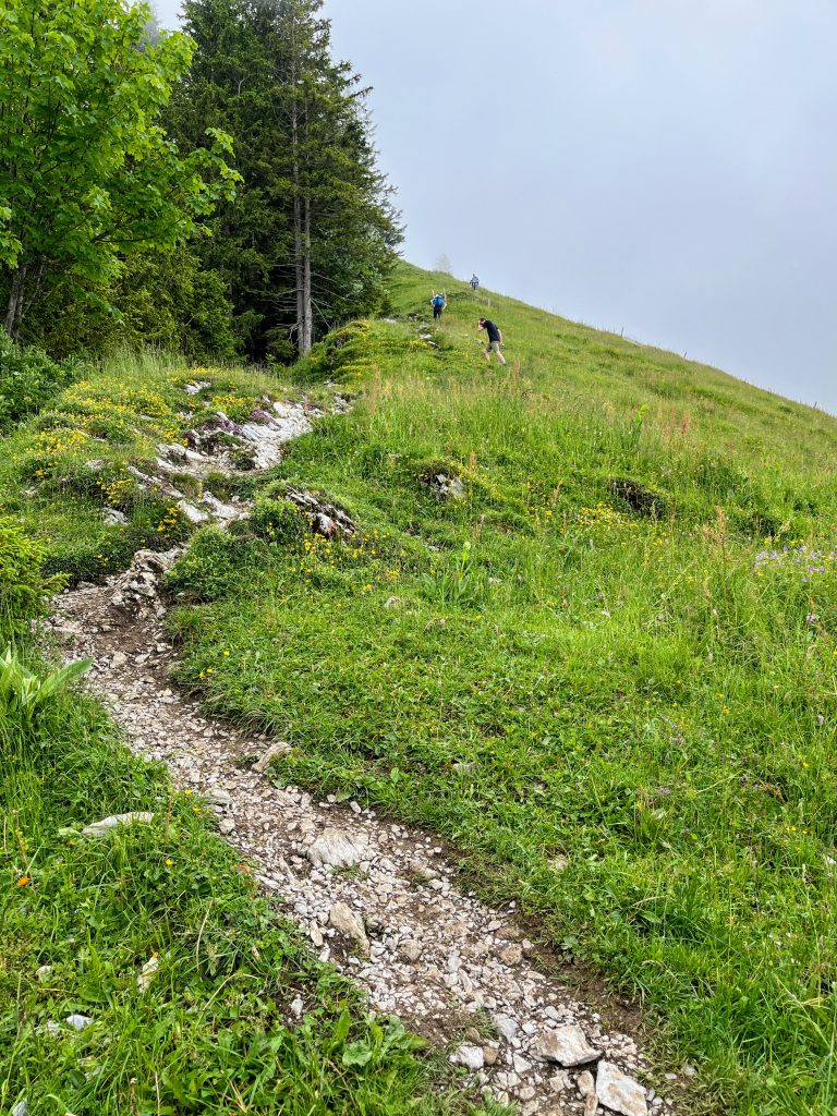 wanderung_buochershorn_