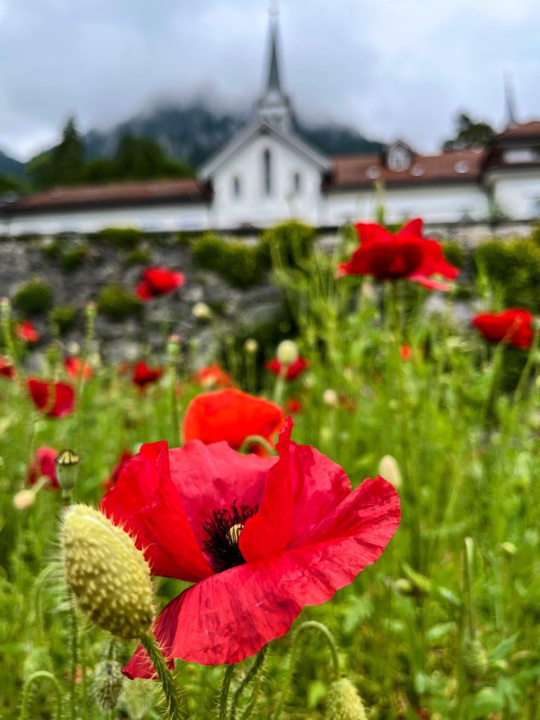 wanderung_buochershorn_