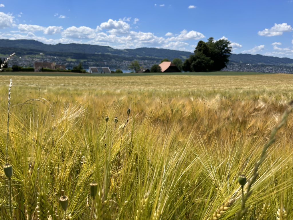 umrundung_zürichsee_zürich_meilen_