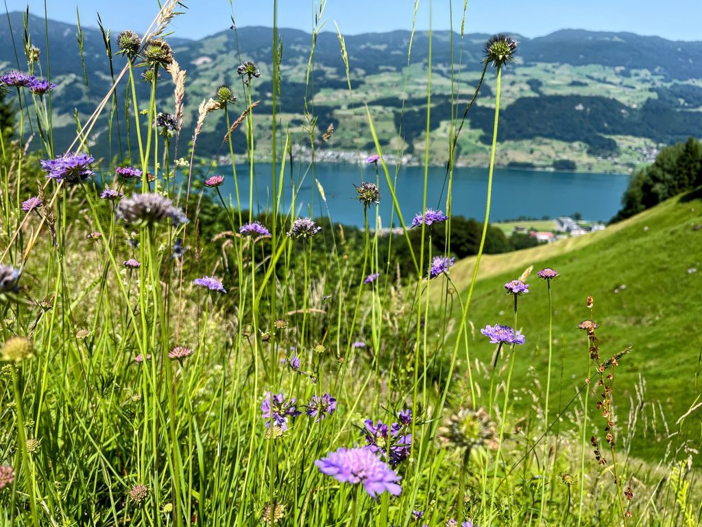 trans_swiss_trail_giswil_flüeli_ranft_