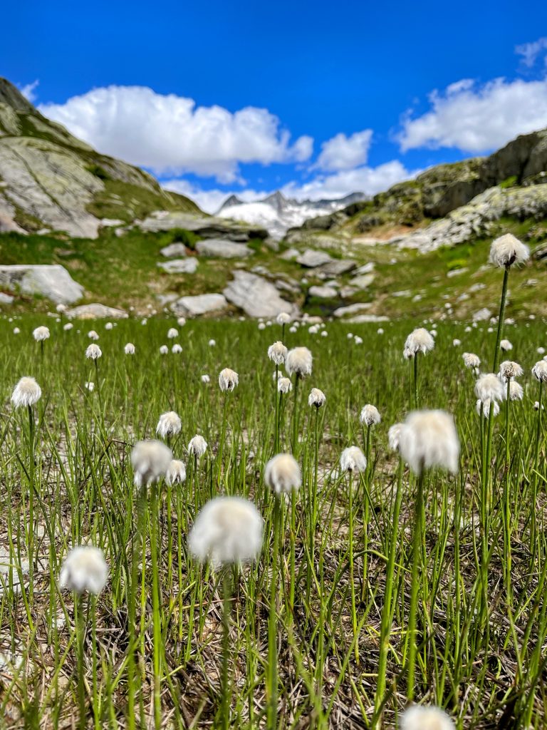 wanderung_bächlitalhütte_