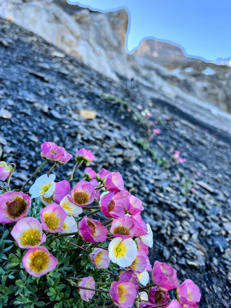 wanderung_via_alpina_blüemlisalphütte_kandersteg_