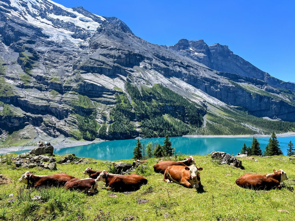 wanderung_via_alpina_blüemlisalphütte_kandersteg_