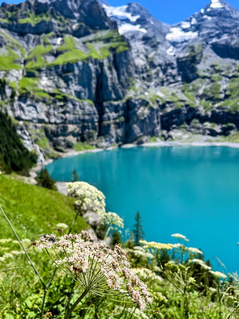 wanderung_via_alpina_blüemlisalphütte_kandersteg_