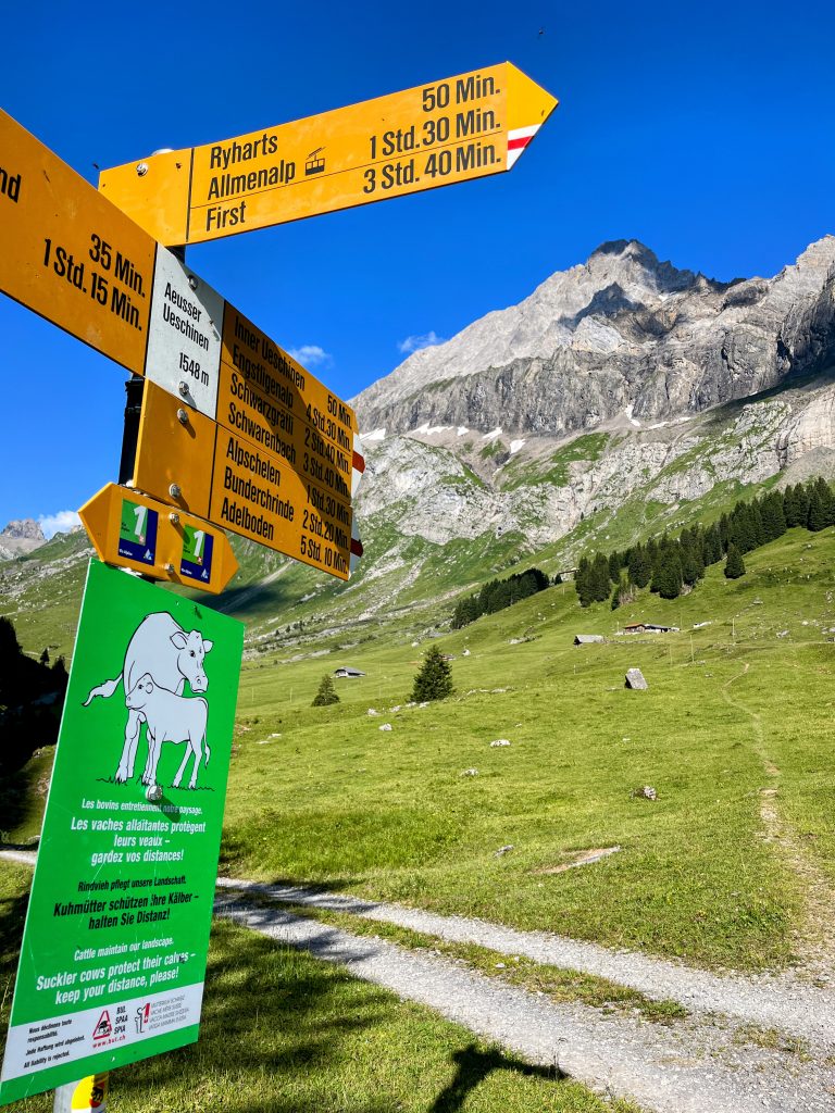 wanderung_via_alpina_etappe_14_kandersteg_adelboden_