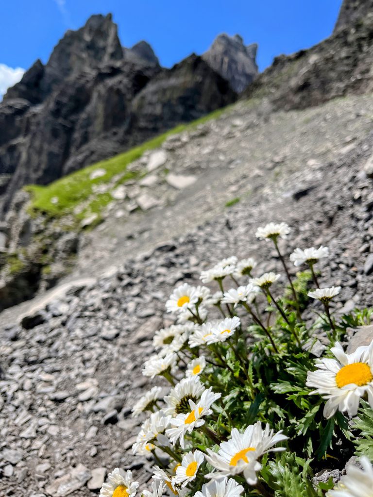 wanderung_via_alpina_etappe_14_kandersteg_adelboden_