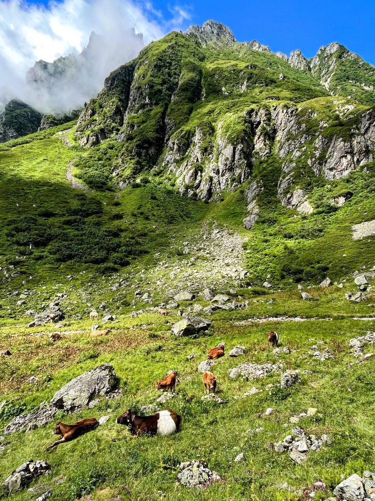 wanderung_leutschachhütte_