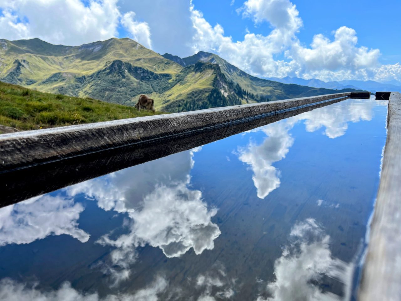 wanderung_schesaplanahütte_