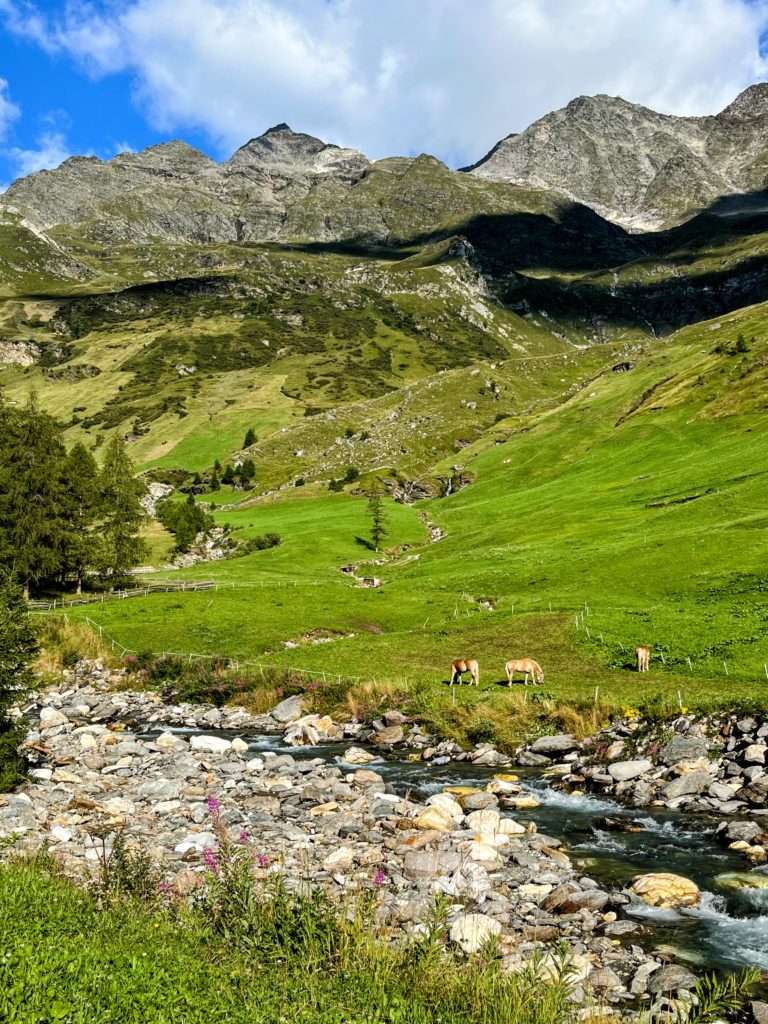 wanderung_meraner_höhenweg_