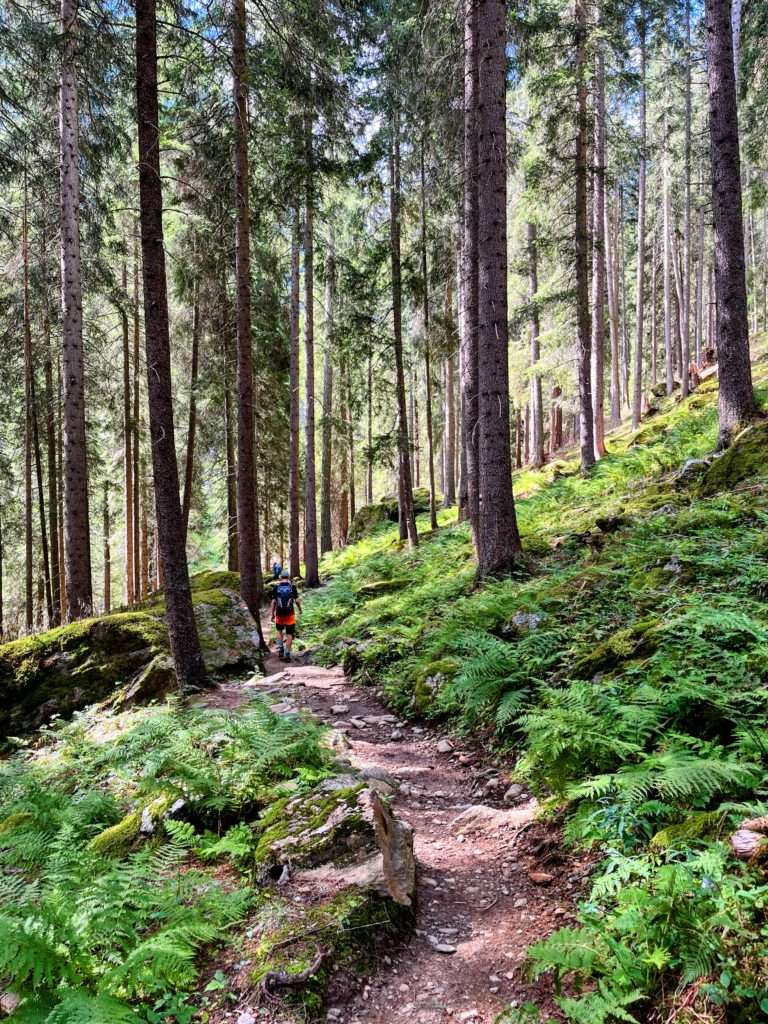 wanderung_meraner_höhenweg_