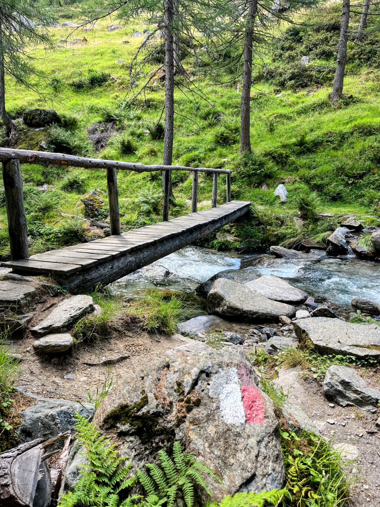 wanderung_meraner_höhenweg_