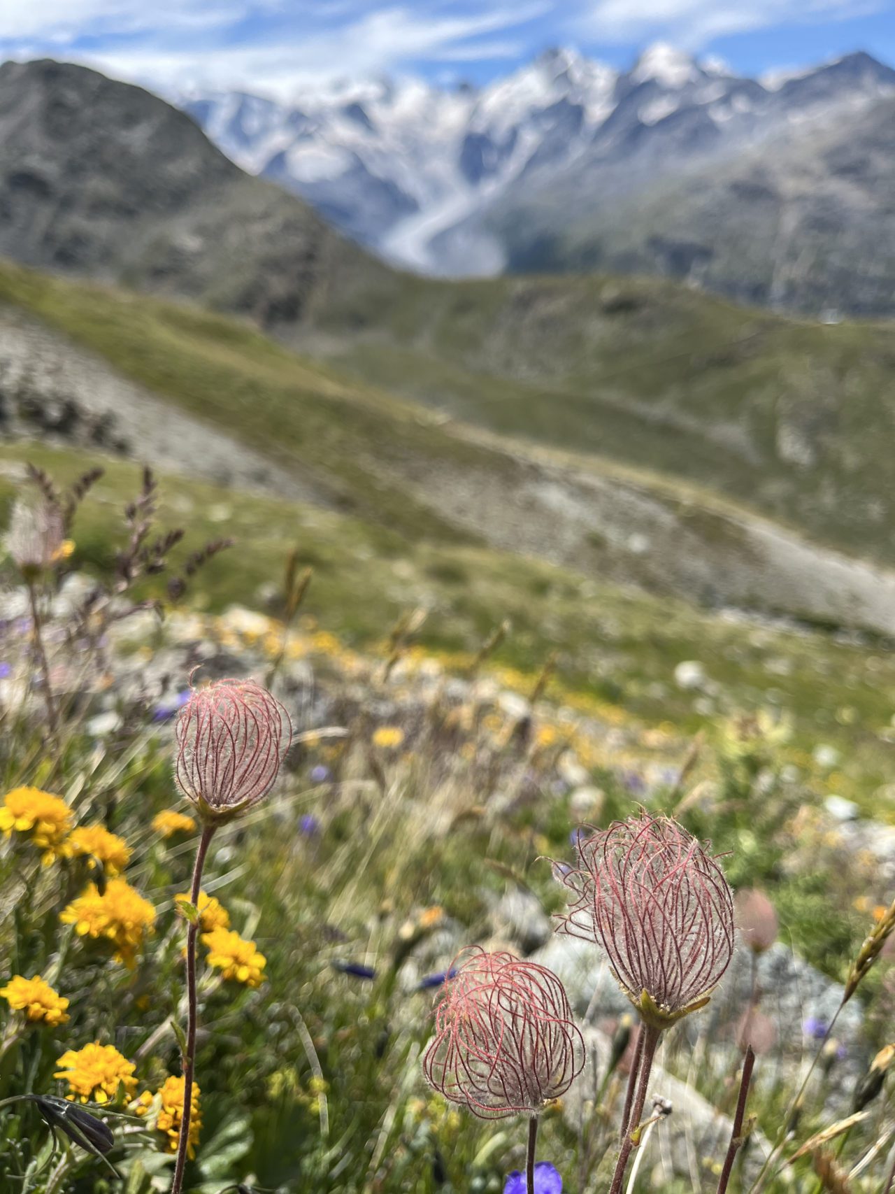 wanderung_piz_langard_