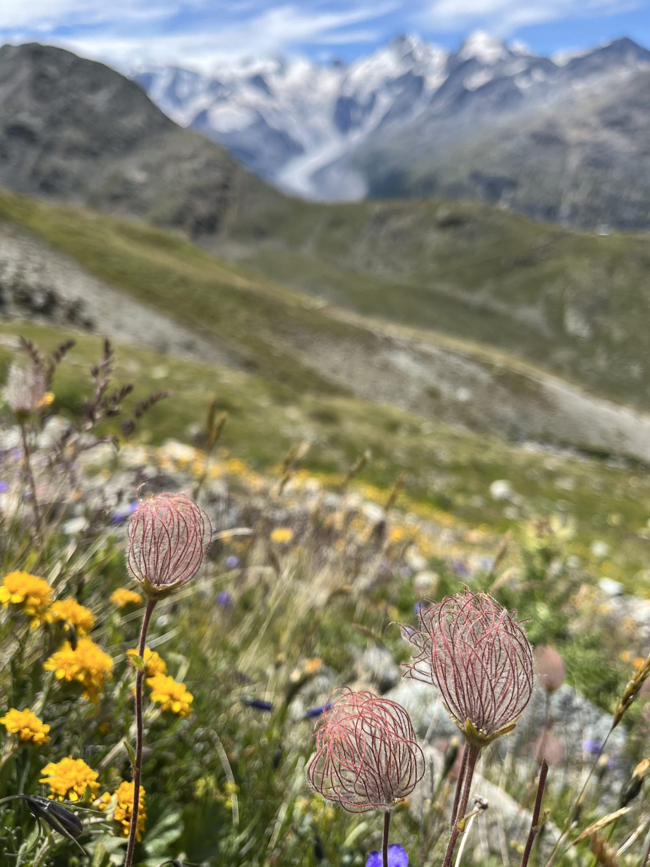 wanderung_piz_langard_