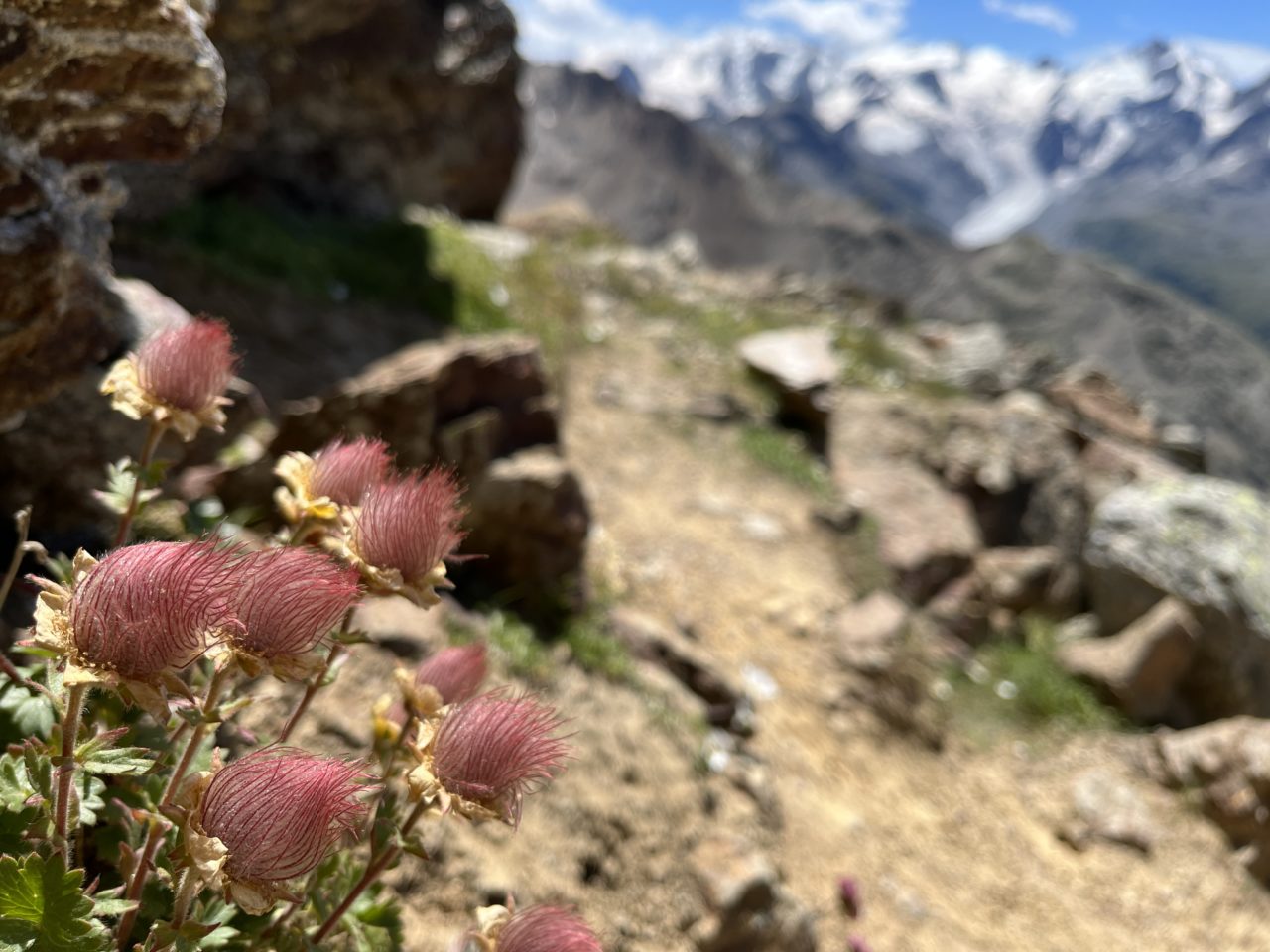 wanderung_piz_langard_