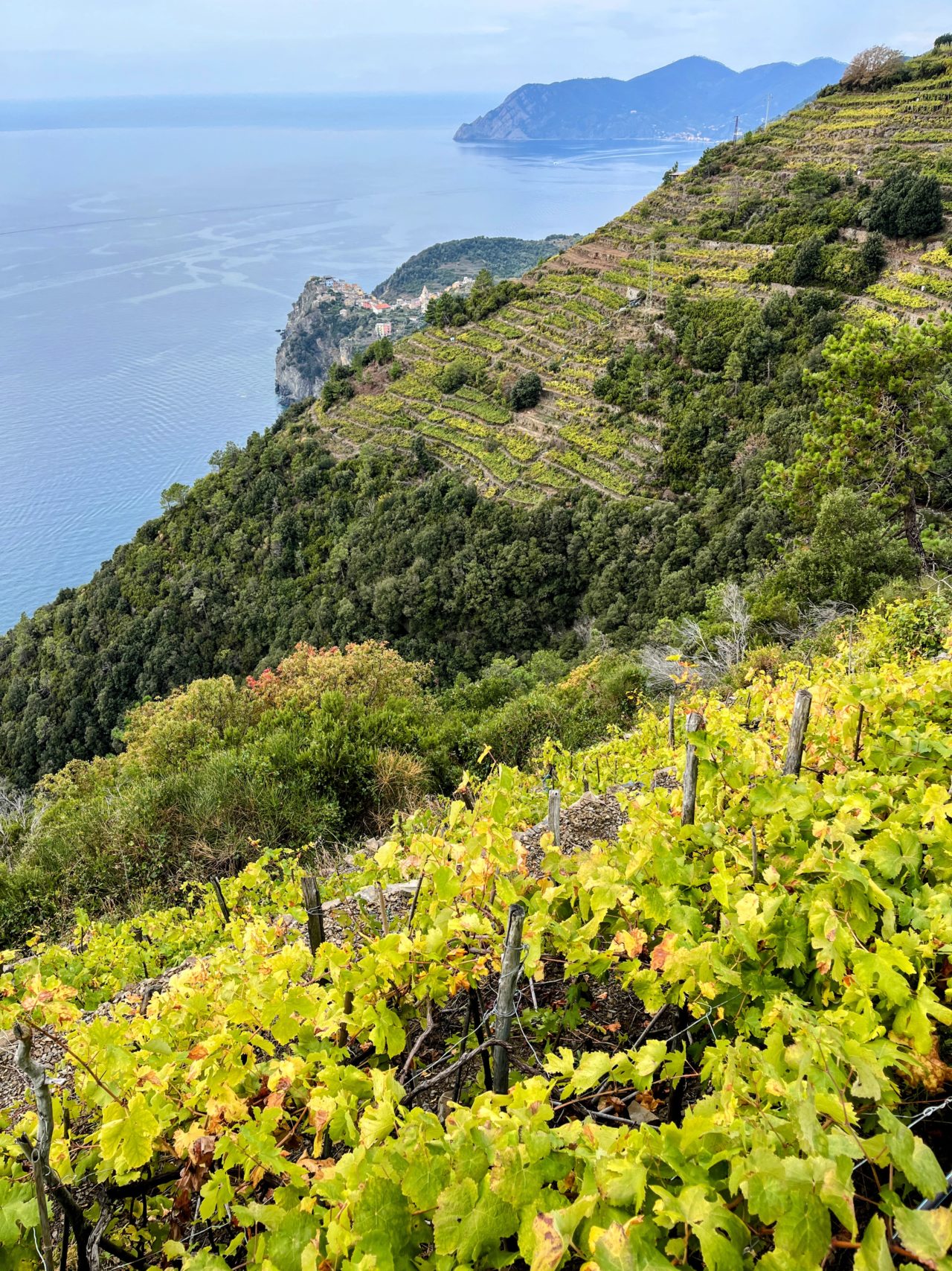 wandern-cinque-terre-