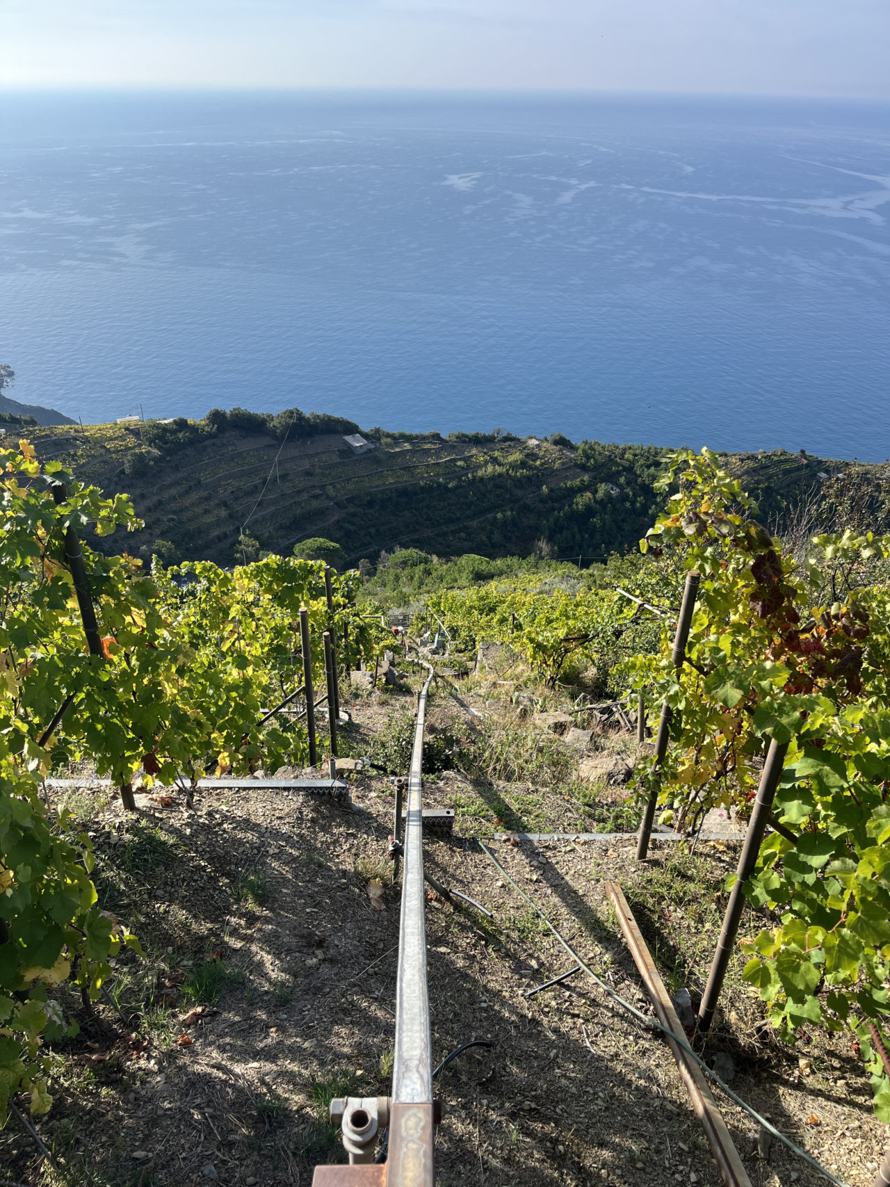 wandern-cinque-terre-