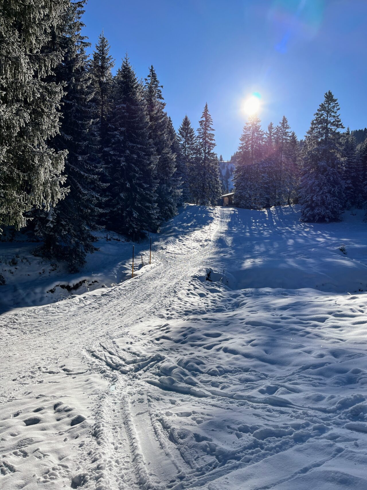 schneeschuhwandern-flumserberg-