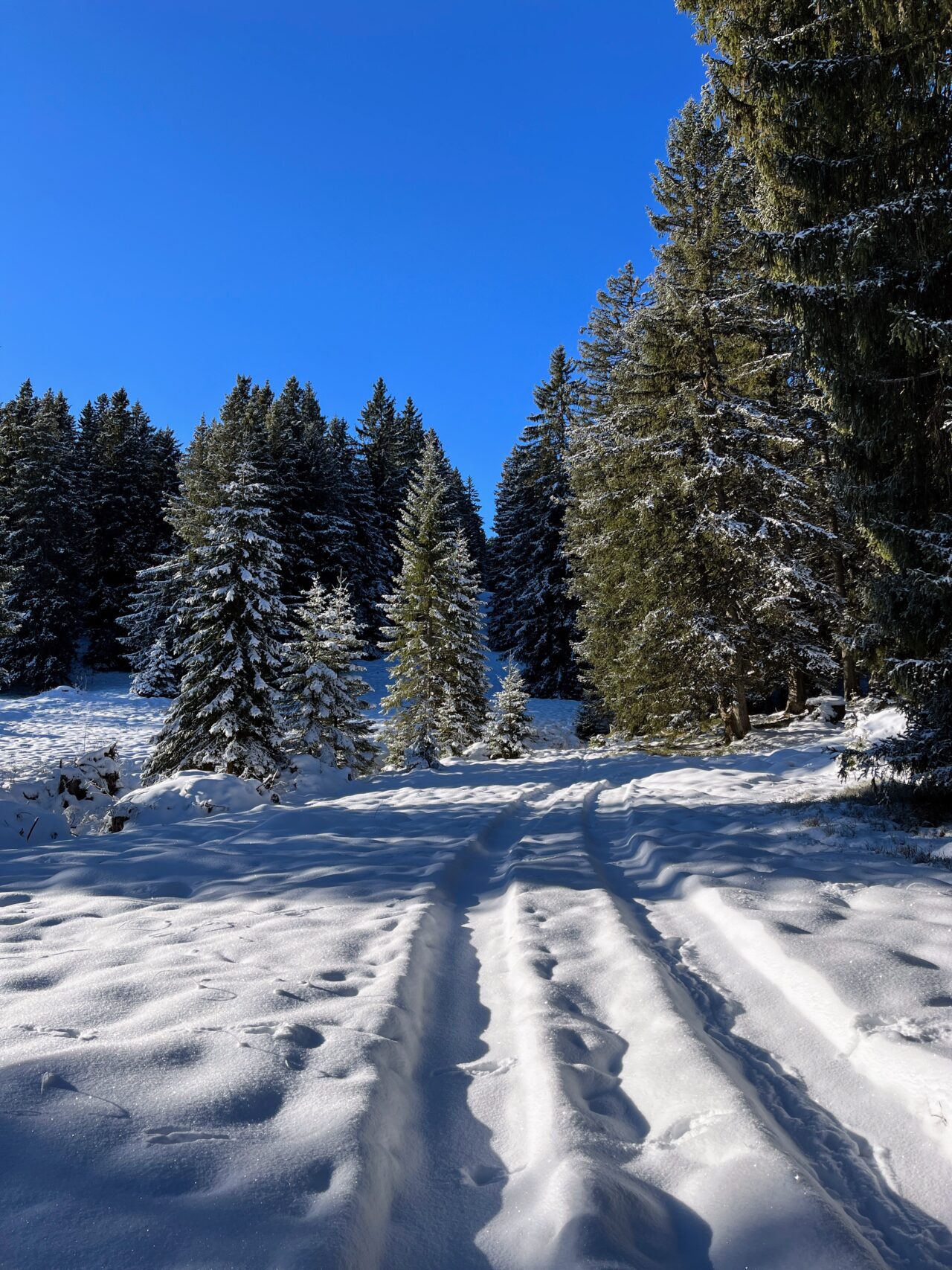 schneeschuhwandern-flumserberg-