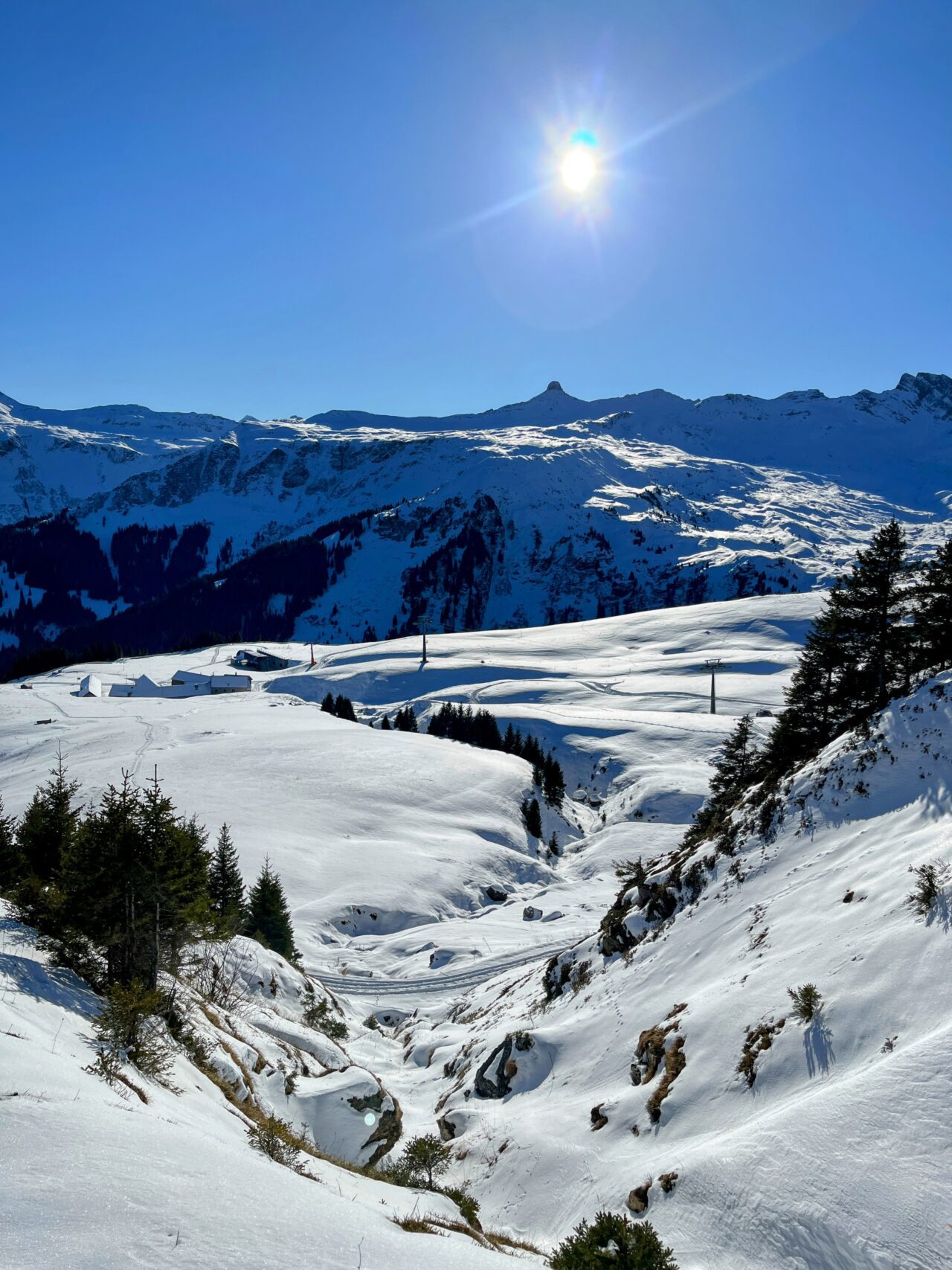 schneeschuhwandern-flumserberg-