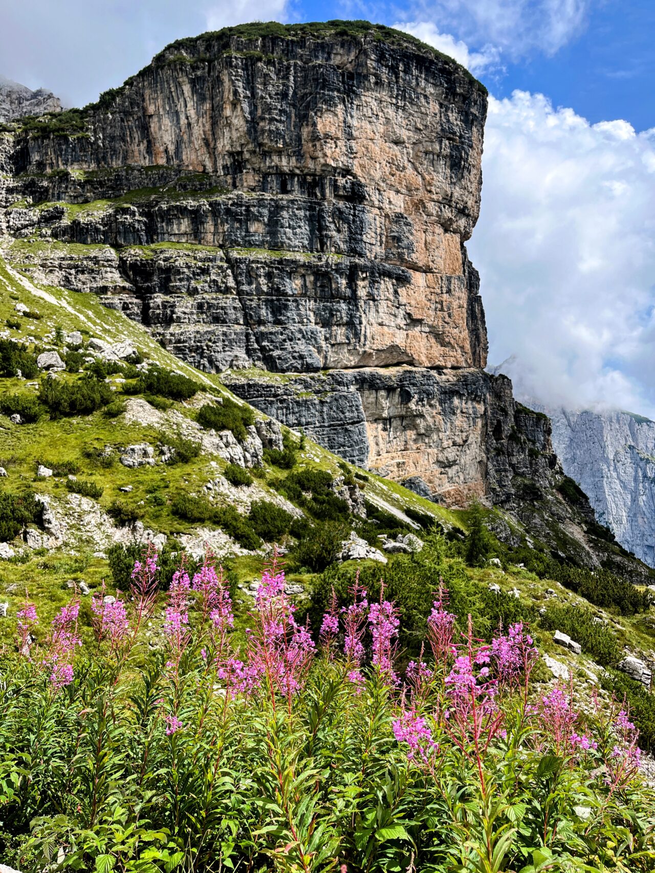 wanderung-rifugio-pedrotti-