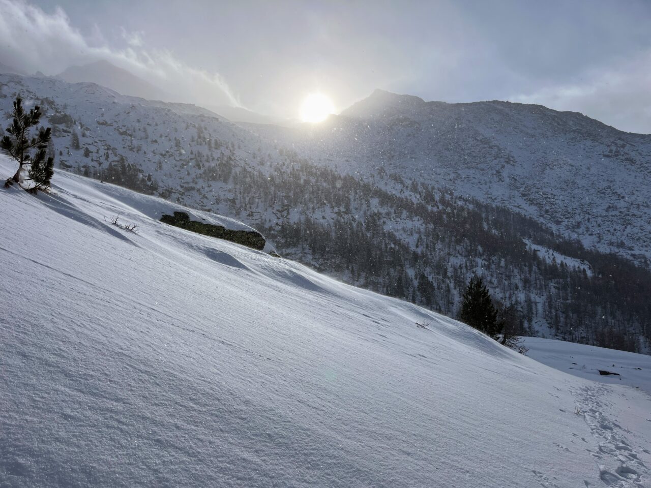 schneeschuhtour-weissmies-hohsaas-