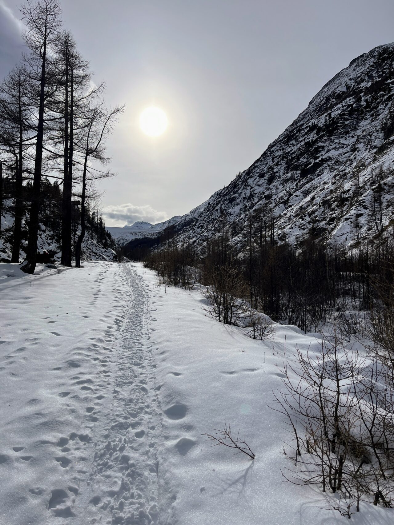 schneeschuhwanderung-mattmark-