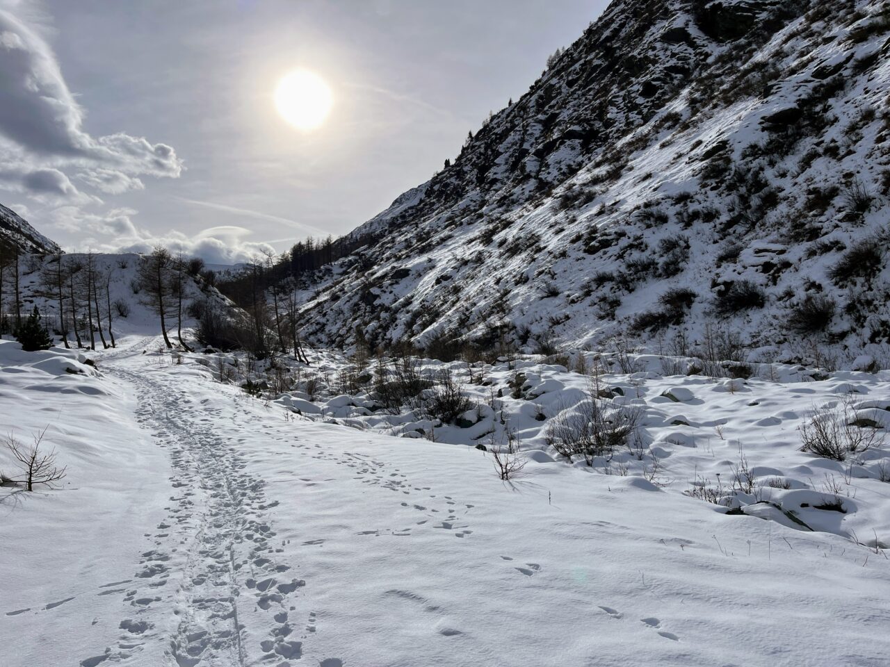 schneeschuhwanderung-mattmark-