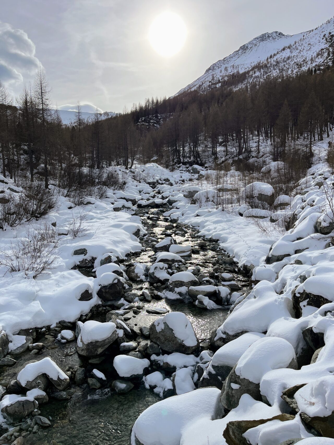 schneeschuhwanderung-mattmark-