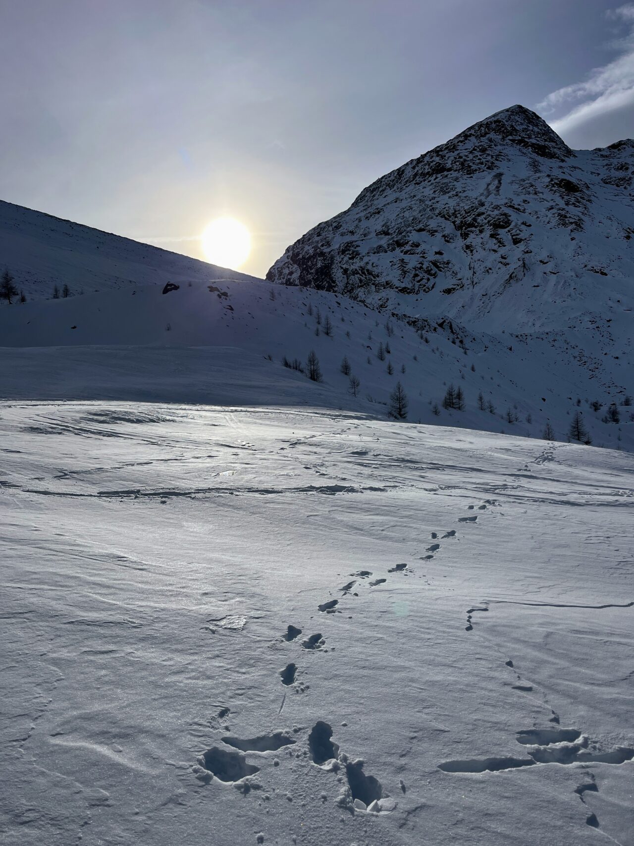 schneeschuhwanderung-mattmark-