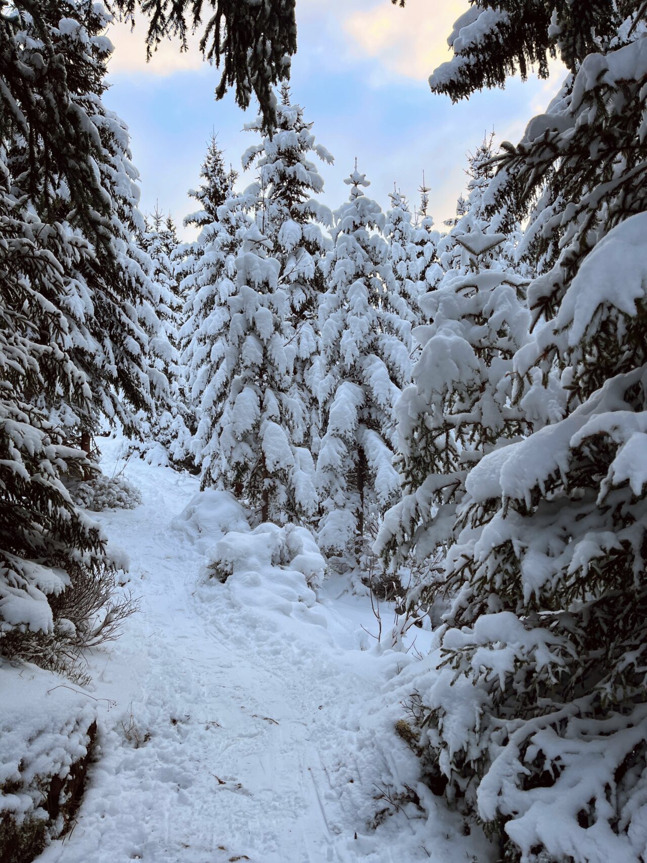 schneeschuhwanderung-fürggelenstock-