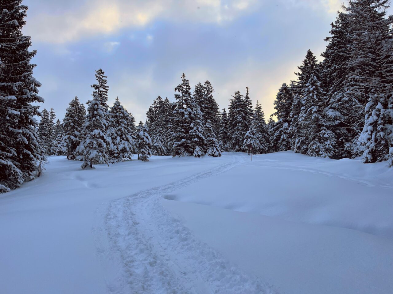 schneeschuhwanderung-fürggelenstock-