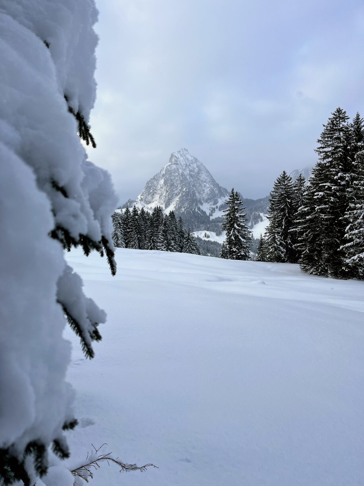 schneeschuhwanderung-fürggelenstock-