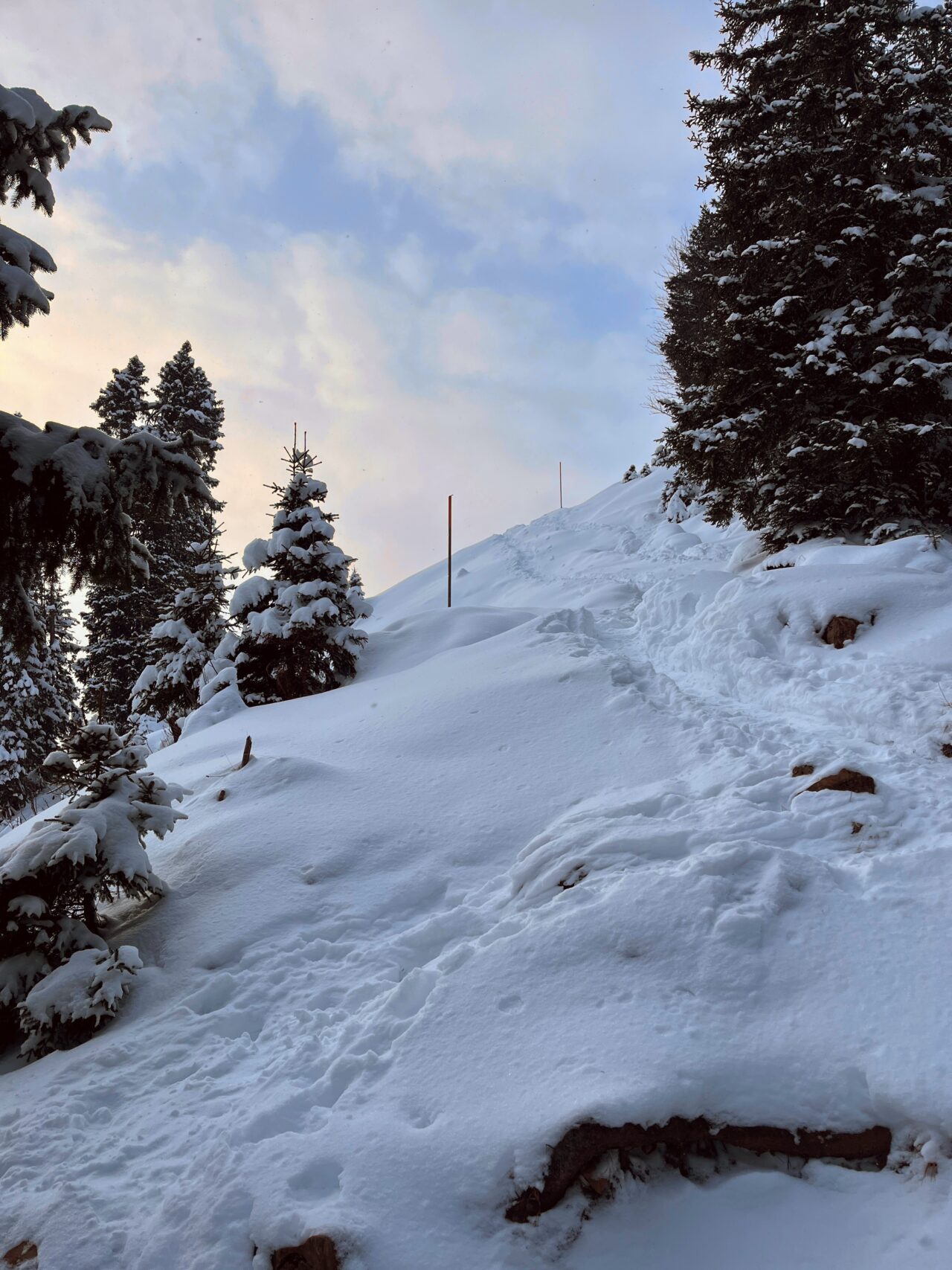 schneeschuhwanderung-fürggelenstock-