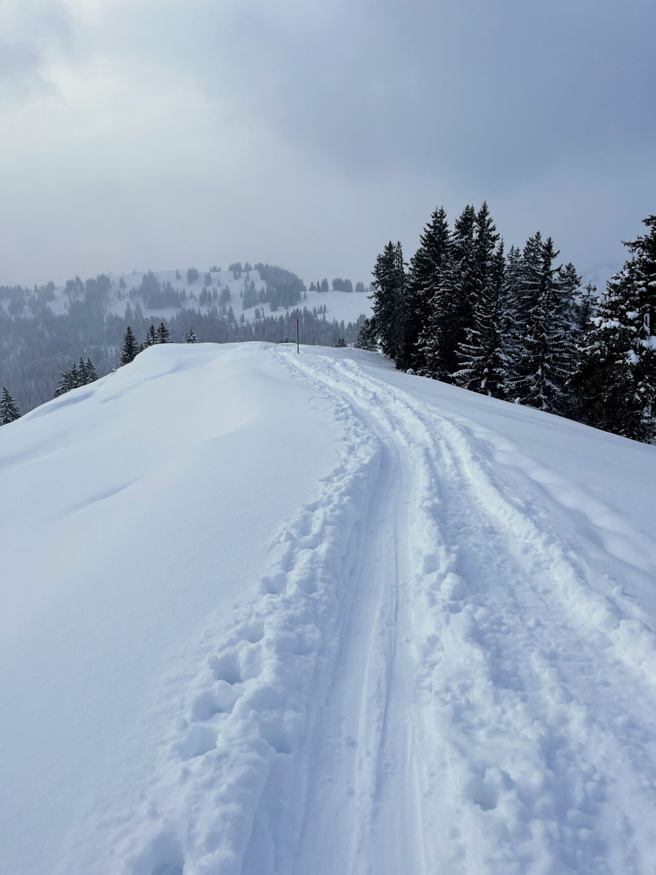 schneeschuhwanderung-fürggelenstock-