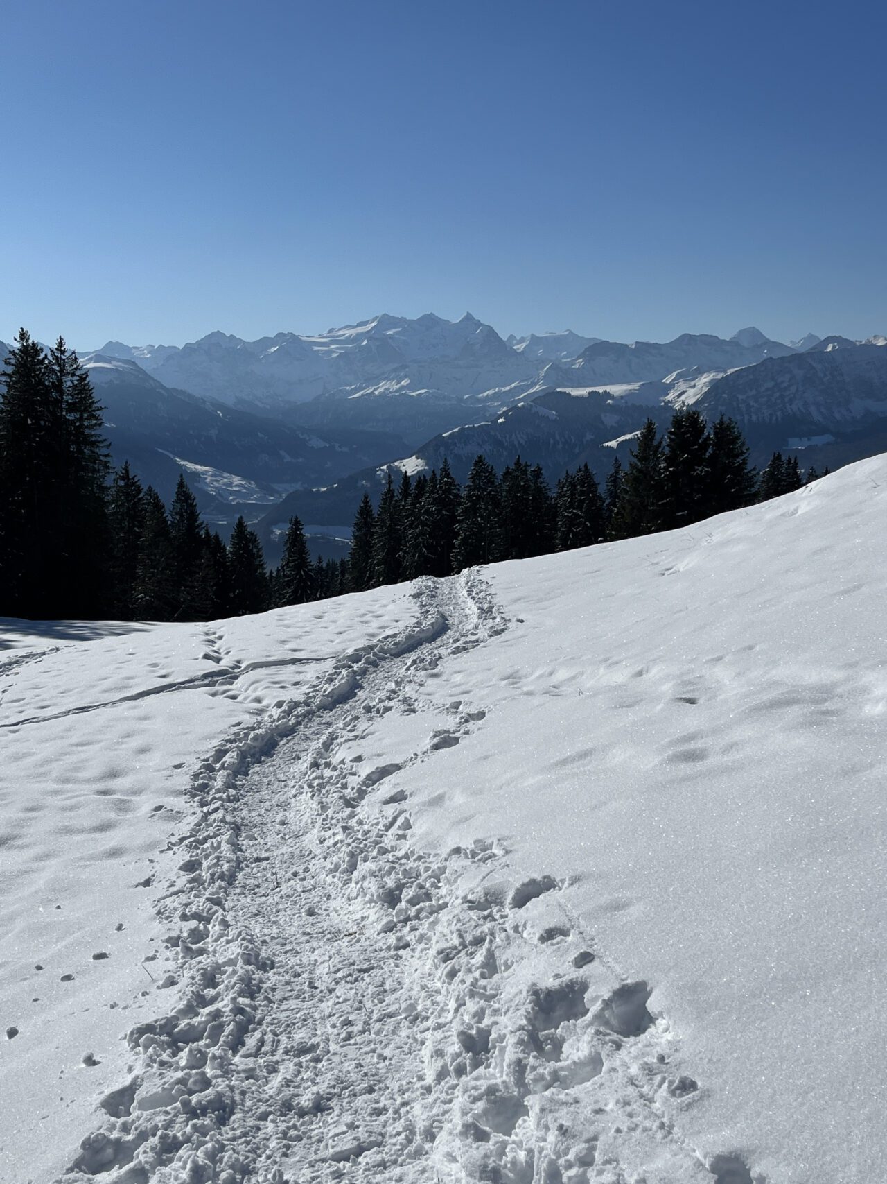 schneeschuhtrail_jaenzi_