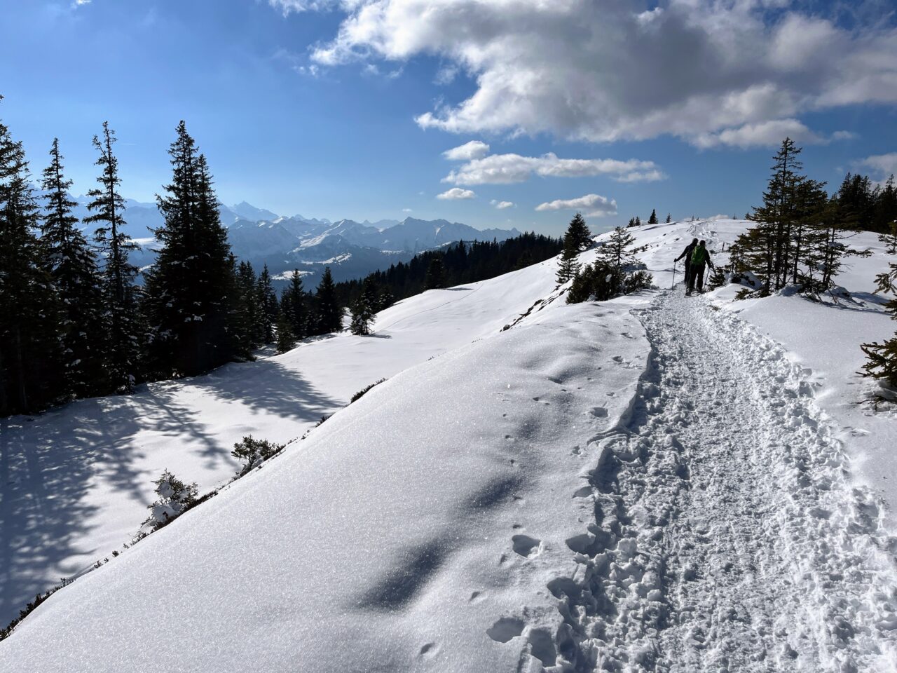 schneeschuhtrail_jaenzi_