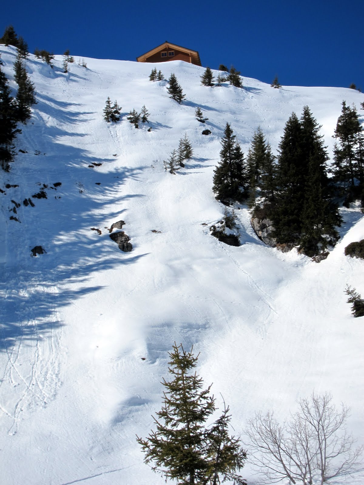 schneeschuhtour-lobhörner-