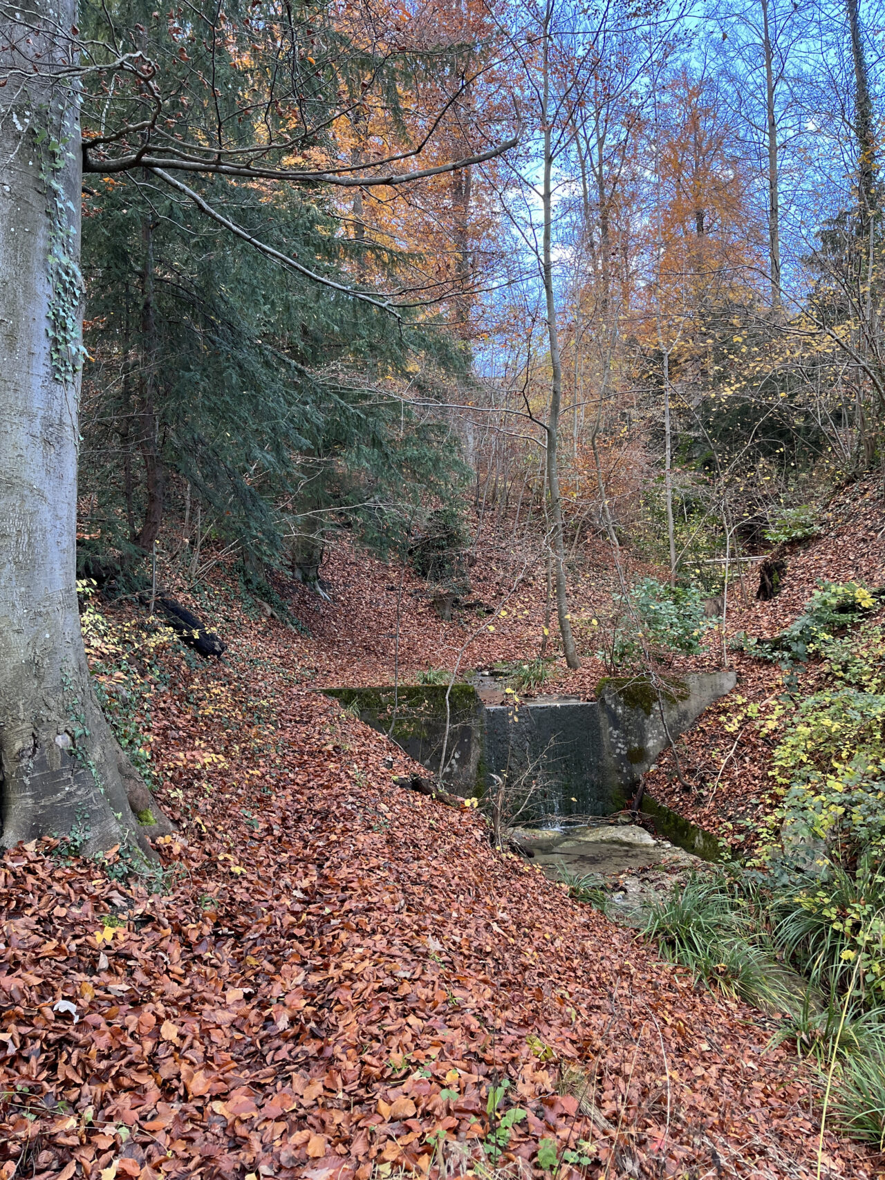 wanderung-teehütte-falletsche-