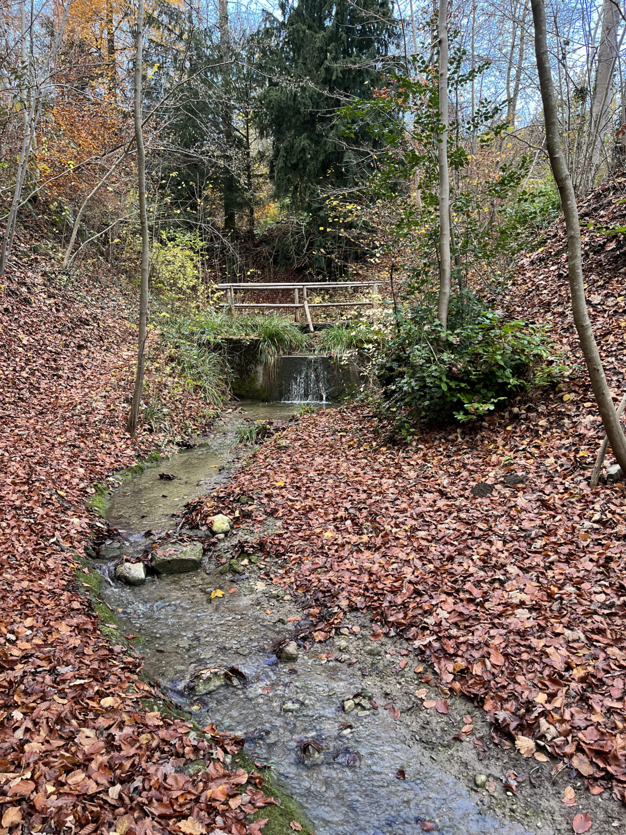 wanderung-teehütte-falletsche-