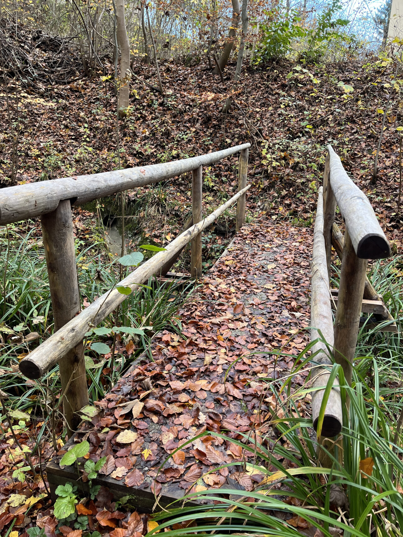 wanderung-teehütte-falletsche-