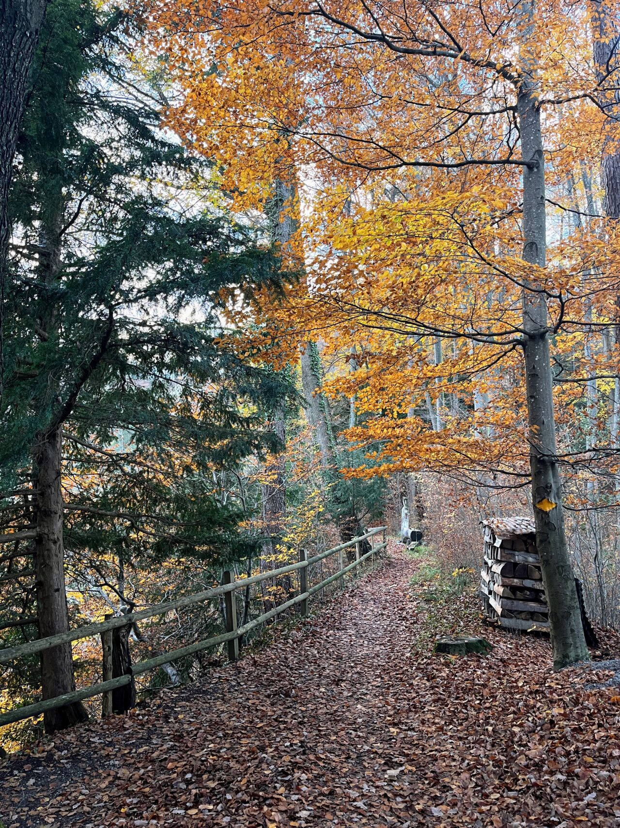 wanderung-teehütte-falletsche-