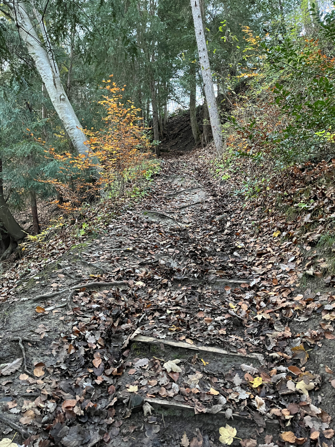 wanderung-teehütte-falletsche-