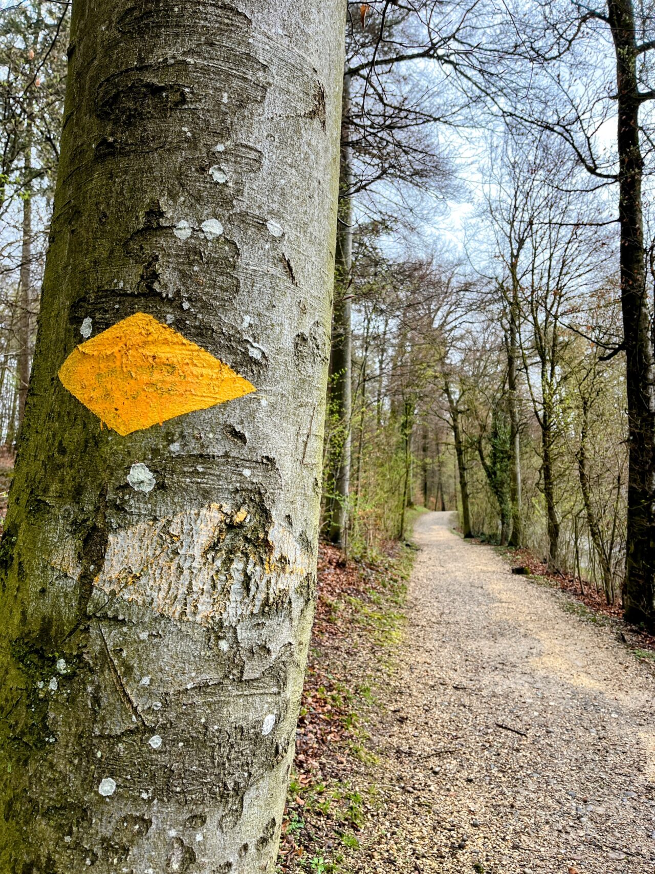 wanderung_hardwaldturm_