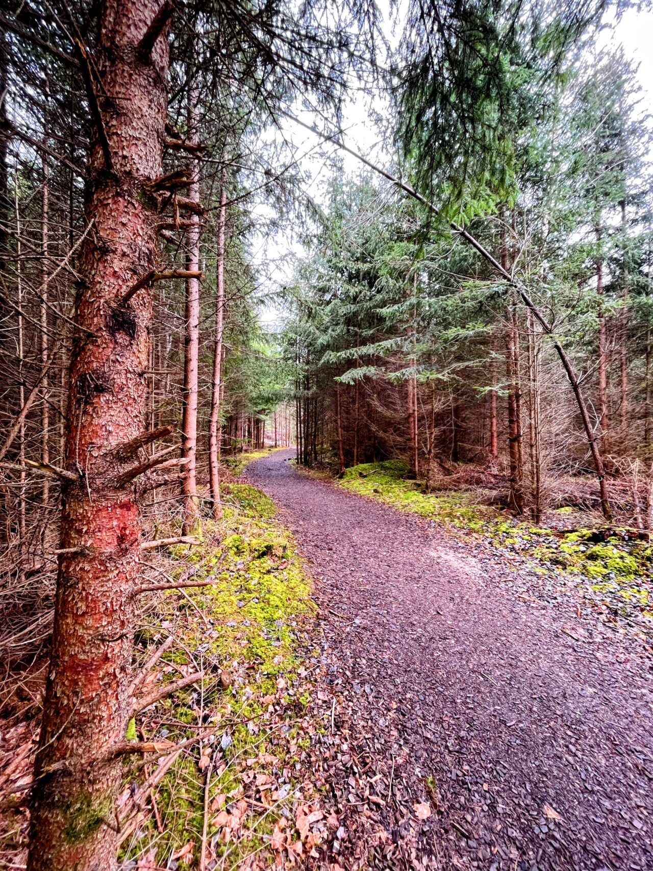 wanderung_hardwaldturm_