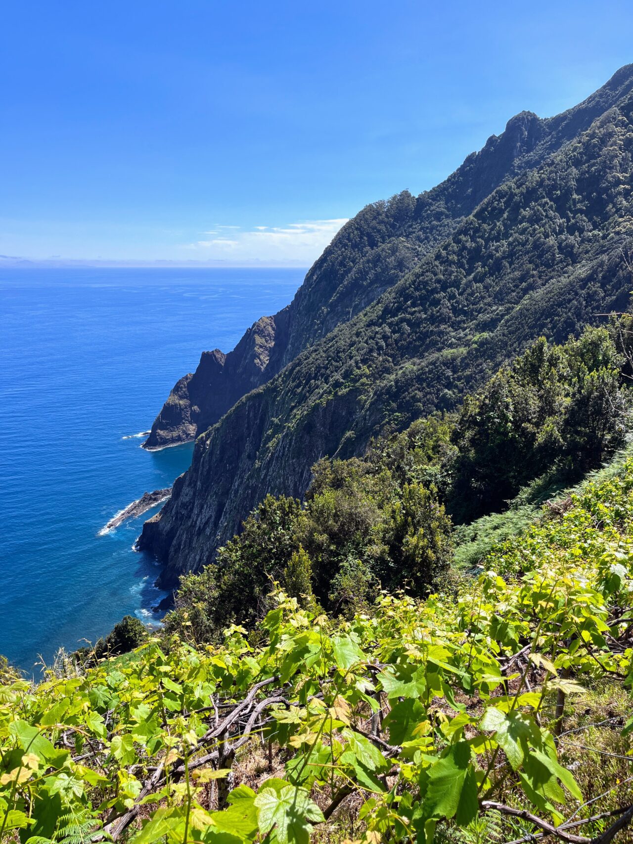 wanderung_porto_da_cruz_machico_