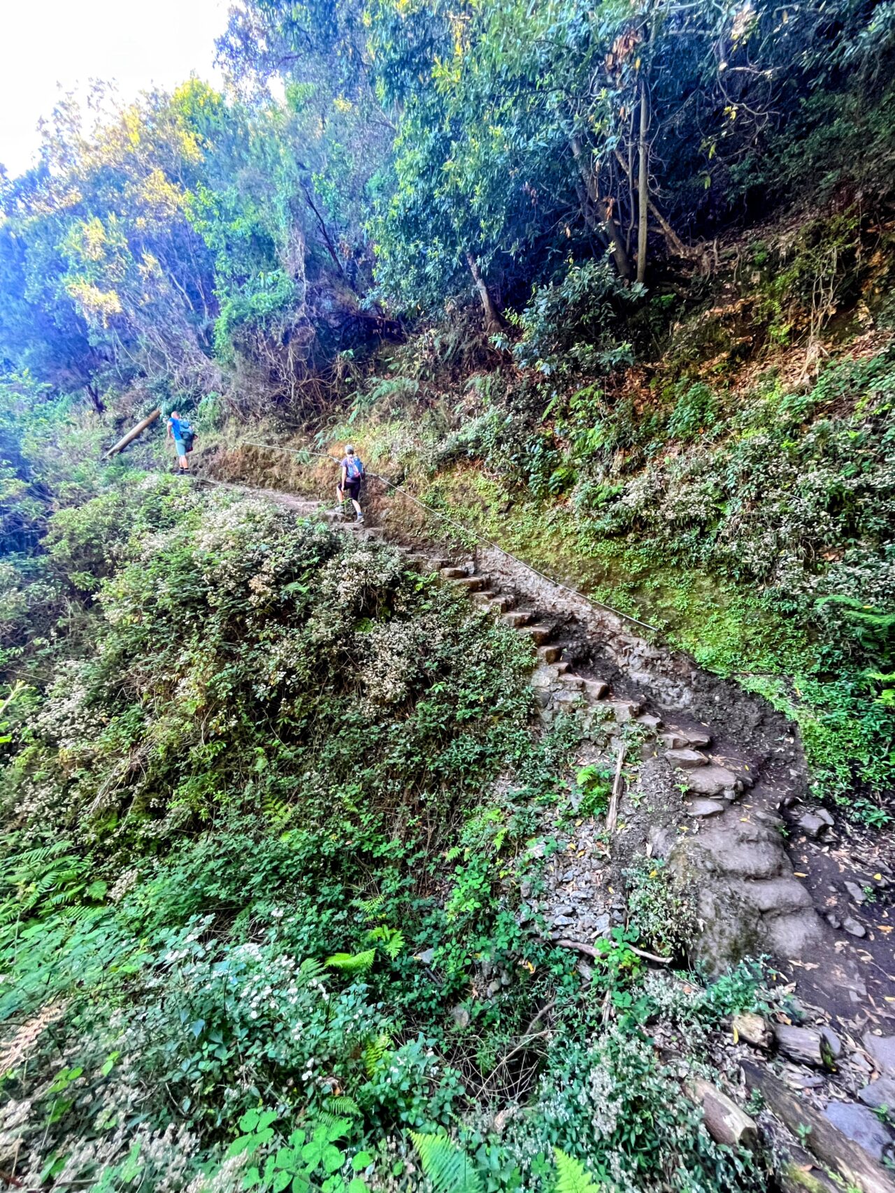 wanderung_porto_da_cruz_machico_