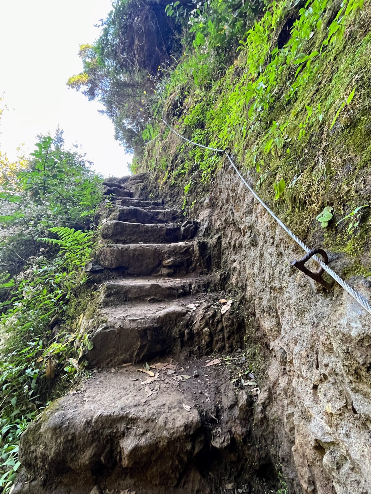 wanderung_porto_da_cruz_machico_