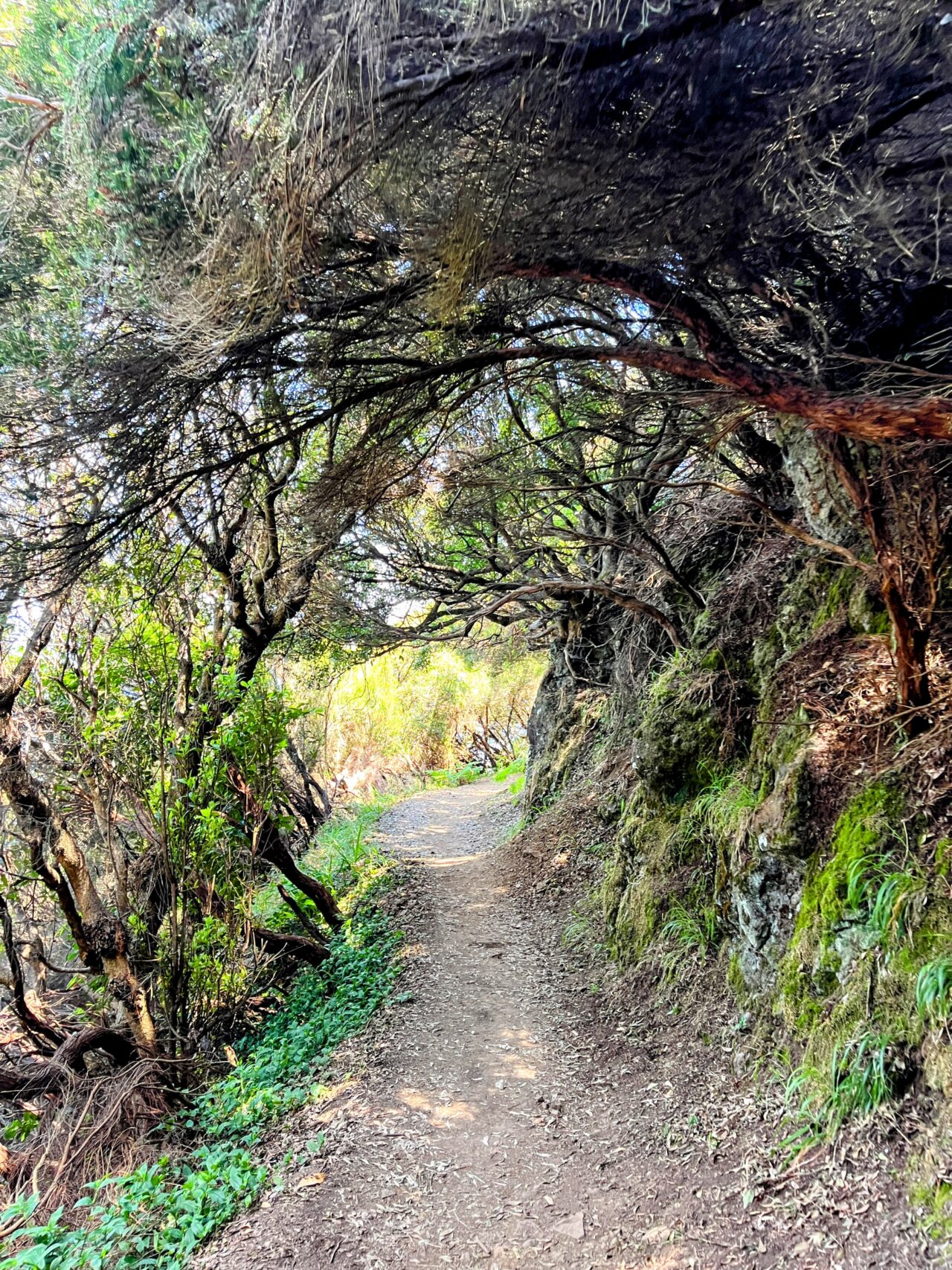 wanderung_porto_da_cruz_machico_